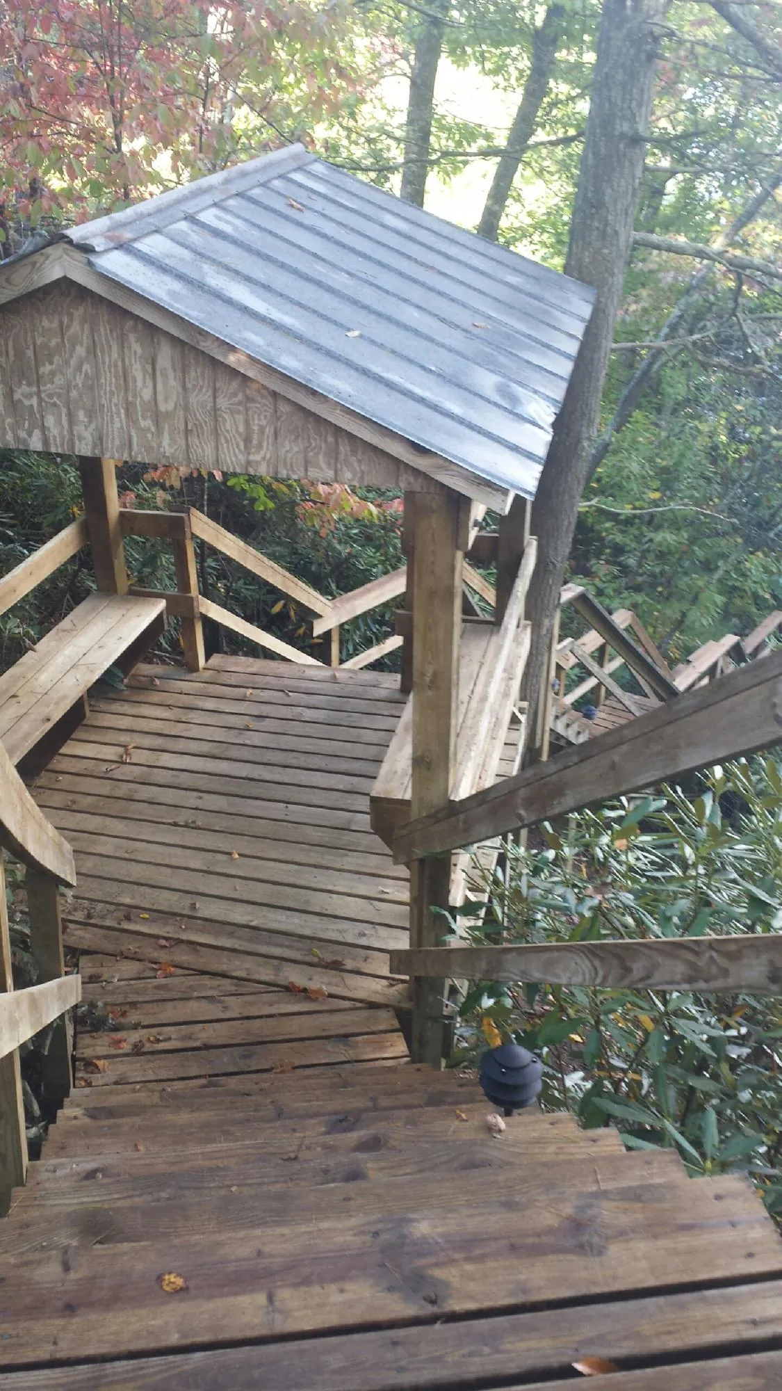 Metal roofed shelter over wooden steps on a wooded walkway — Skylight Repair & Installation work by our crew in Mossyrock