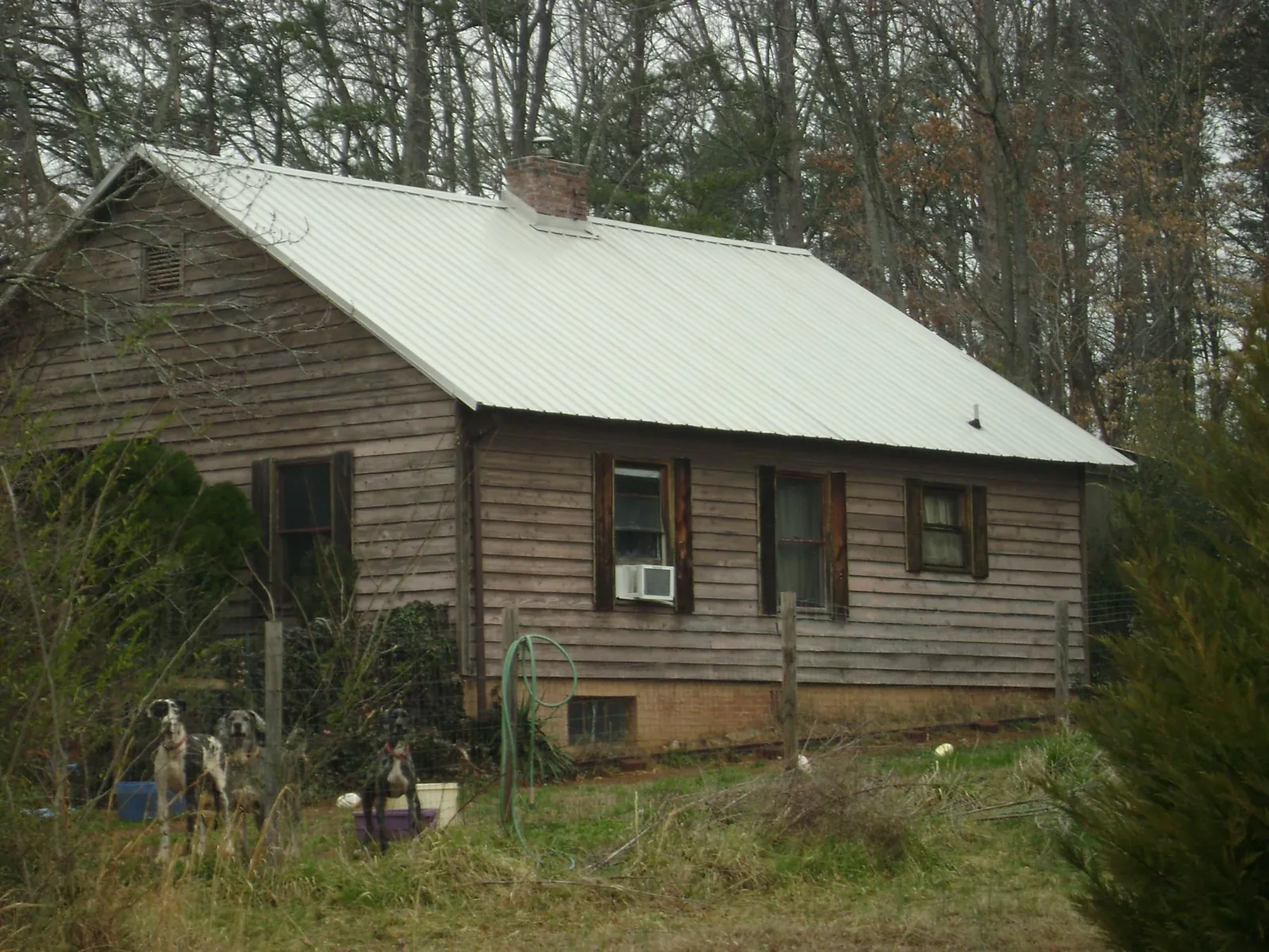 White metal roof on an old wood sided farmhouse, from a Metal Roof Installation job in Mossyrock